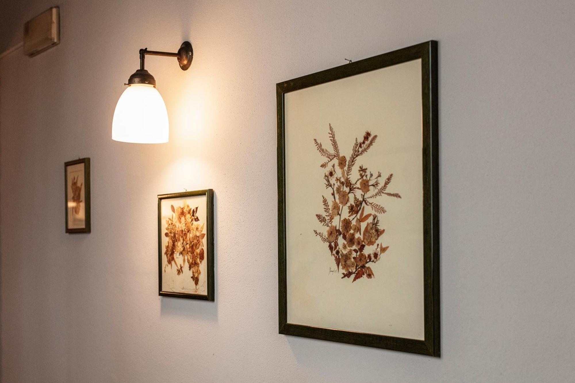 Agriturismo Il Palazzone Montegalda エクステリア 写真