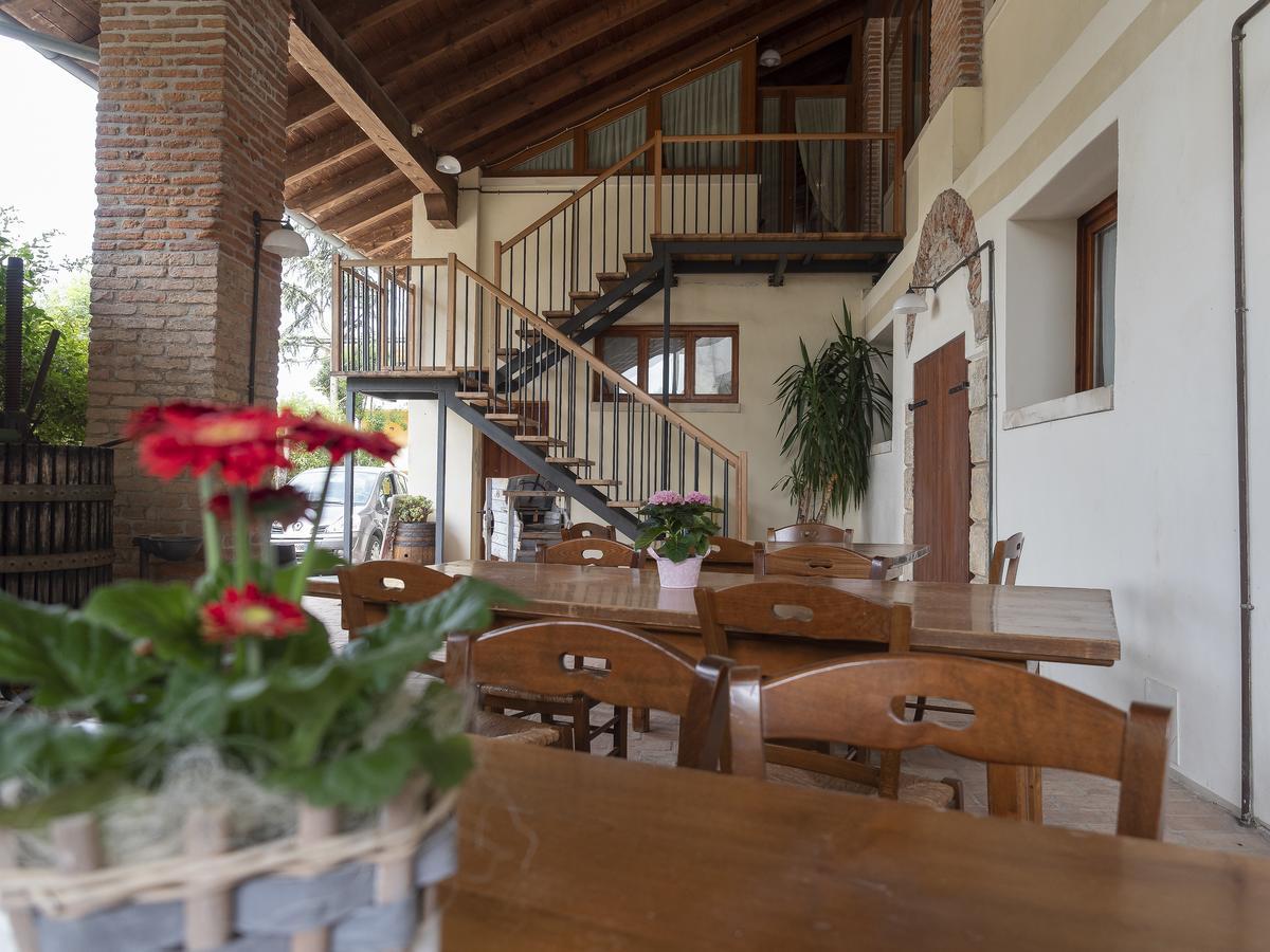 Agriturismo Il Palazzone Montegalda エクステリア 写真