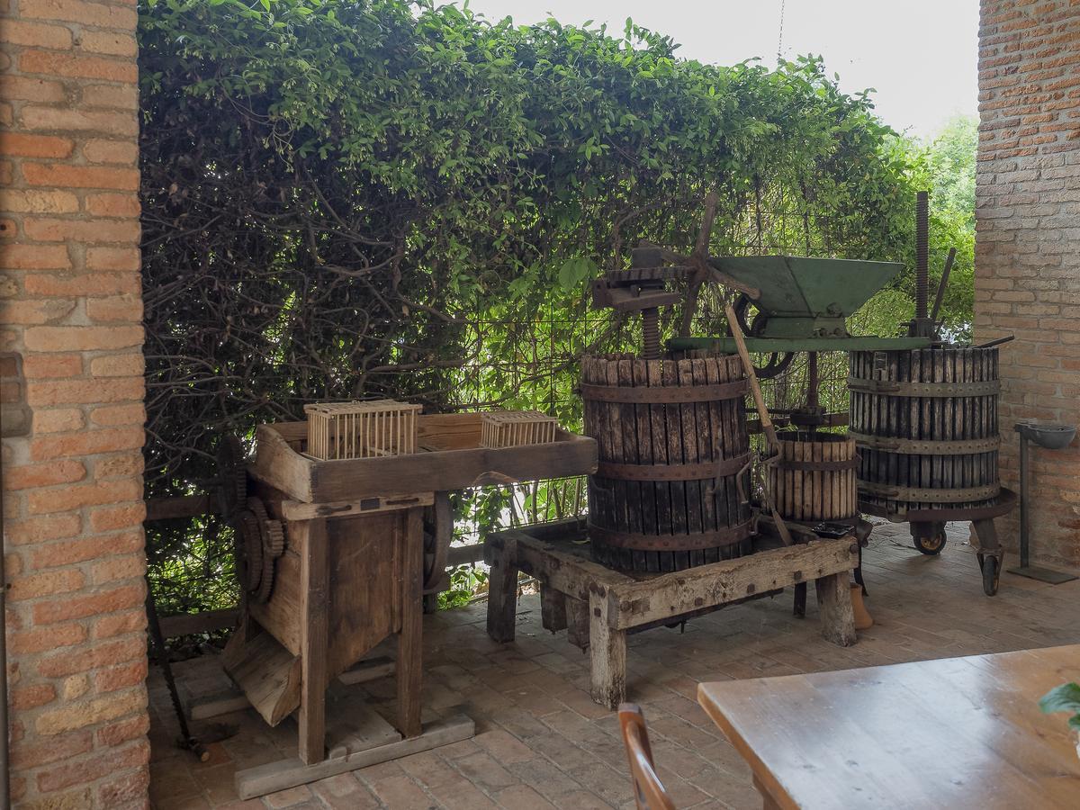 Agriturismo Il Palazzone Montegalda エクステリア 写真