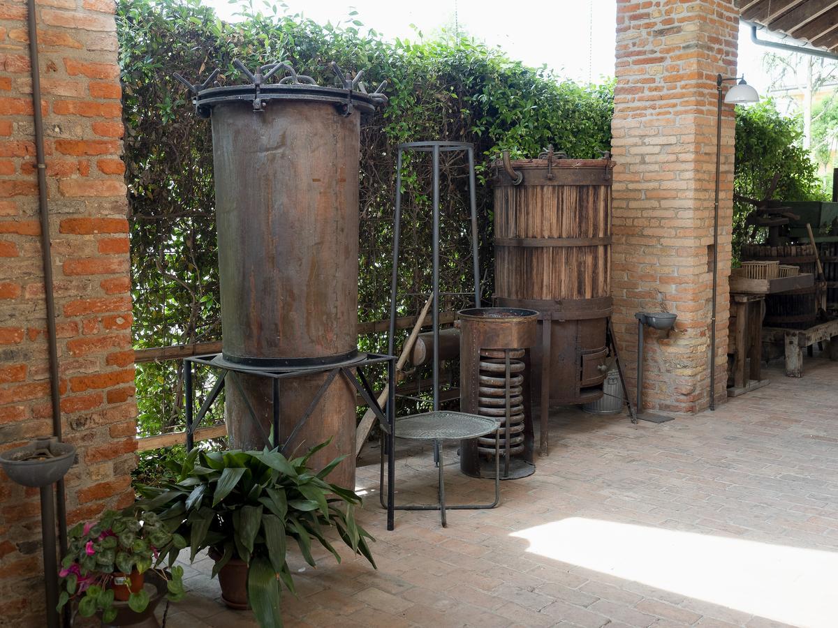Agriturismo Il Palazzone Montegalda エクステリア 写真